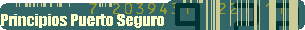 Principios Puerto Seguro